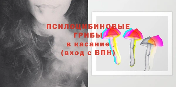 apvp Володарск