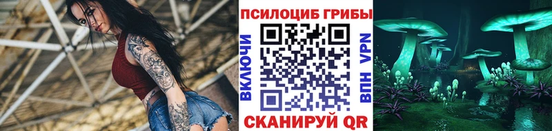 как найти закладки  Мостовской  Галлюциногенные грибы мицелий 